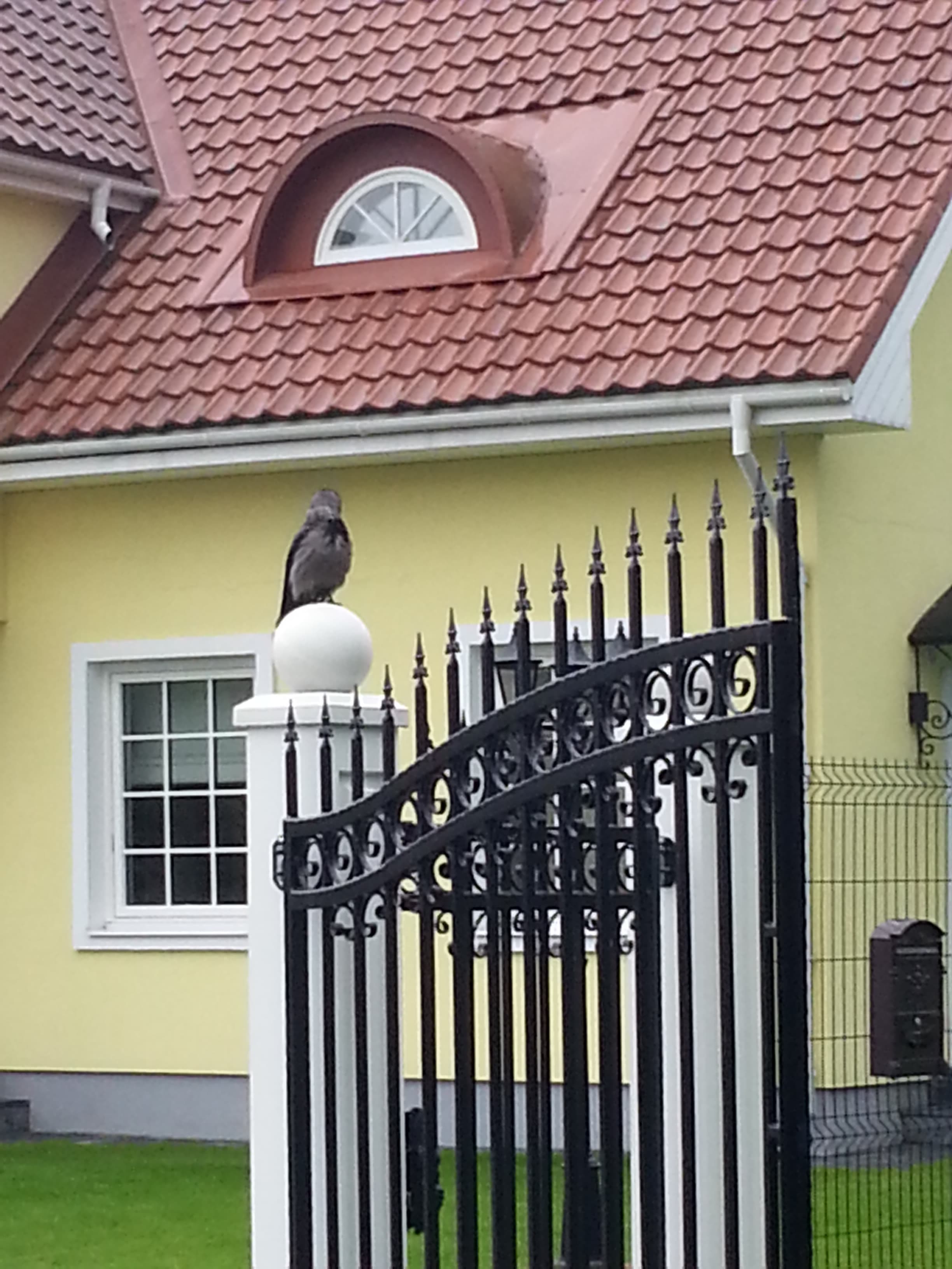 Värav (20130531 151509 3)